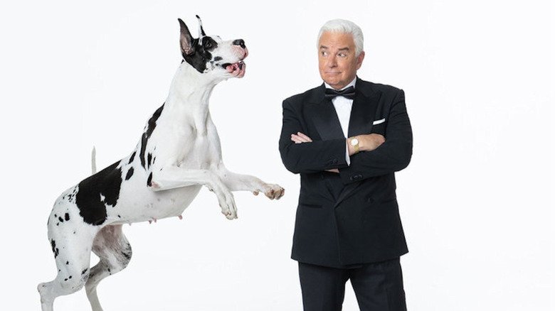 Guia Completo da Programação de TV para o Dia de Ação de Graças: Parada da Macy’s, National Dog Show, Três Jogos da NFL e Estreias no Streaming - Imagem do artigo original