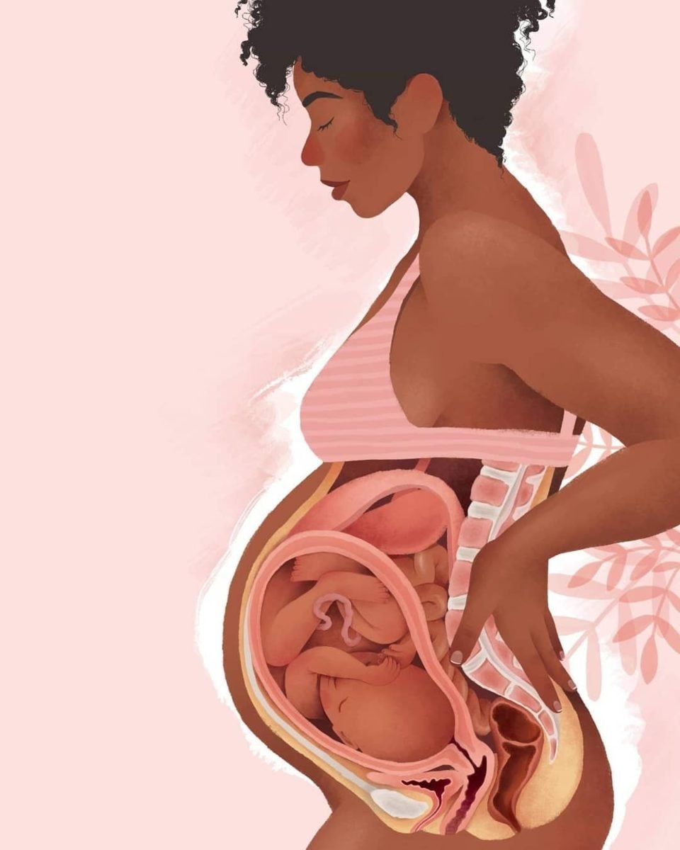 Fisioterapia pélvica: importância antes, durante e após a gestação Fisioterapia pélvica: importância antes, durante e após a gestação