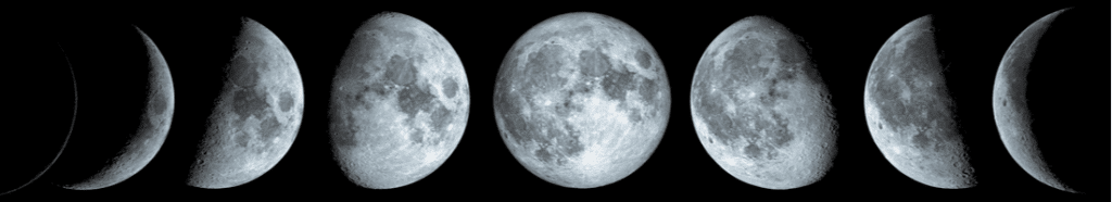Fase da Lua hoje: entenda a Lua Nova de 21 de janeiro de 2026 e o calendário lunar completo do mês Fase da Lua hoje: entenda a Lua Nova de 21 de janeiro de 2026 e o calendário lunar completo do mês