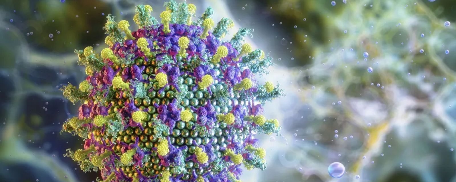 Vírus Nipah: Ministério da Saúde descarta risco para o Brasil e detalha vigilância contínua - Imagem do artigo