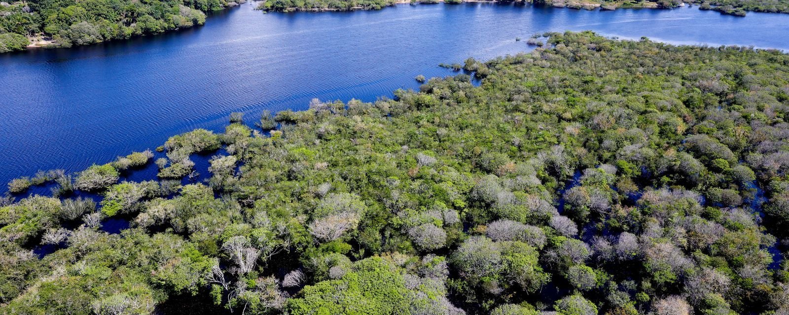 Governo anuncia edital de R$ 131,9 milhões para enfrentar o desmatamento na Amazônia e apoiar 7,3 mil famílias - Imagem do artigo