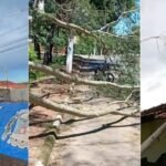 Ventania de 70 km/h provoca queda de árvores, danos a imóveis e mobiliza Defesa Civil em Casa Branca (SP)