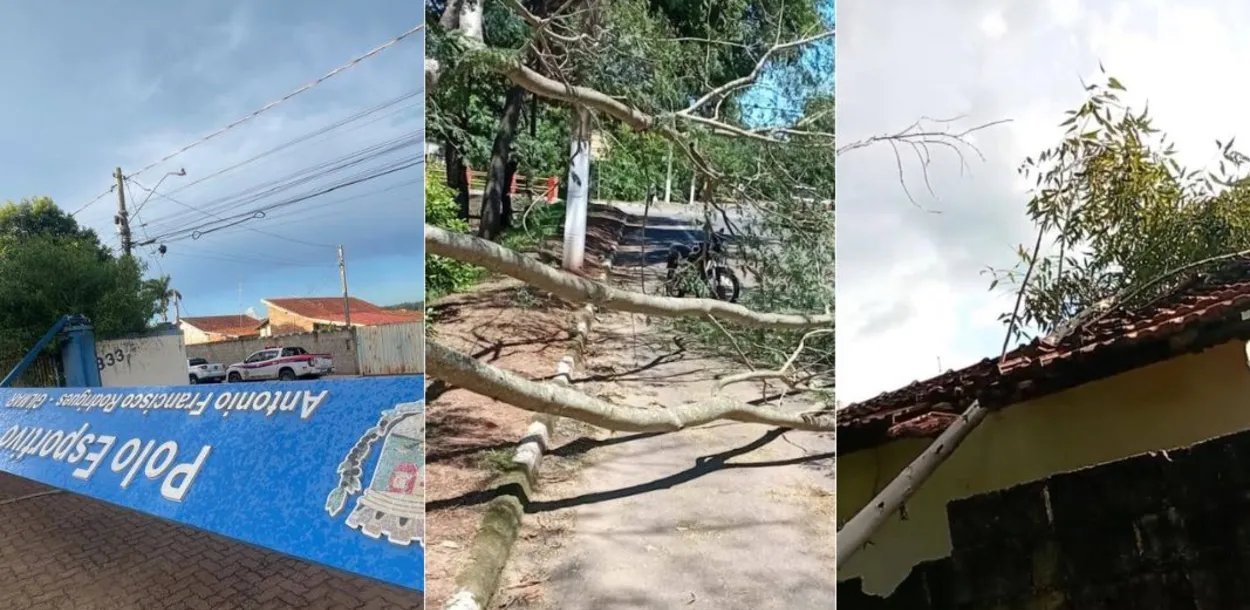 Ventania de 70 km/h provoca queda de árvores, danos a imóveis e mobiliza Defesa Civil em Casa Branca (SP) - Imagem do artigo