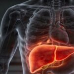 Consumo de vinho: novos estudos revelam por que nenhuma taça é totalmente segura para a saúde