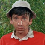 Gilligan's Island: bastidores da reação do elenco e do criador às primeiras críticas negativas