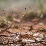 Cheiro de chuva: entenda a ciência por trás do aroma que anuncia a tempestade